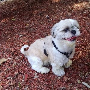 Meet your Posher, Grace